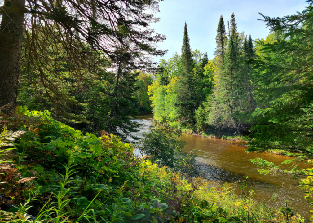 Wisconsin: Bois Brule River